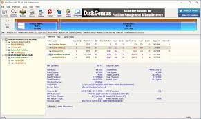 DiskGenius Professional 5.4.3 Crack + Serial Code Free Download 2022